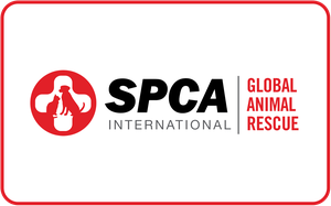 SPCA International gift card