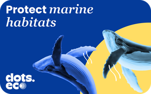 Dots.eco - Protect Marine Habitats gift card
