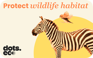 Dots.eco - Protect Wildlife Habitat gift card